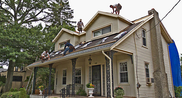 Quick and Trustworthy Emergency Roof Repair Services in Yalaha, FL